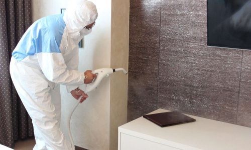 shutterstock_1758692420