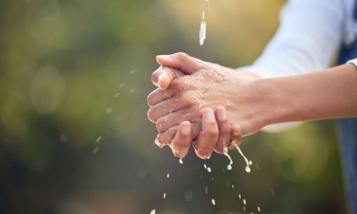 shutterstock_2461990555